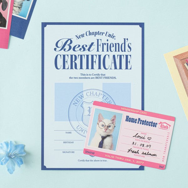 Daiso - Pegatinas de identificación de estudiante (7 hojas)