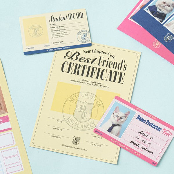 Daiso - Pegatinas de identificación de estudiante (7 hojas)