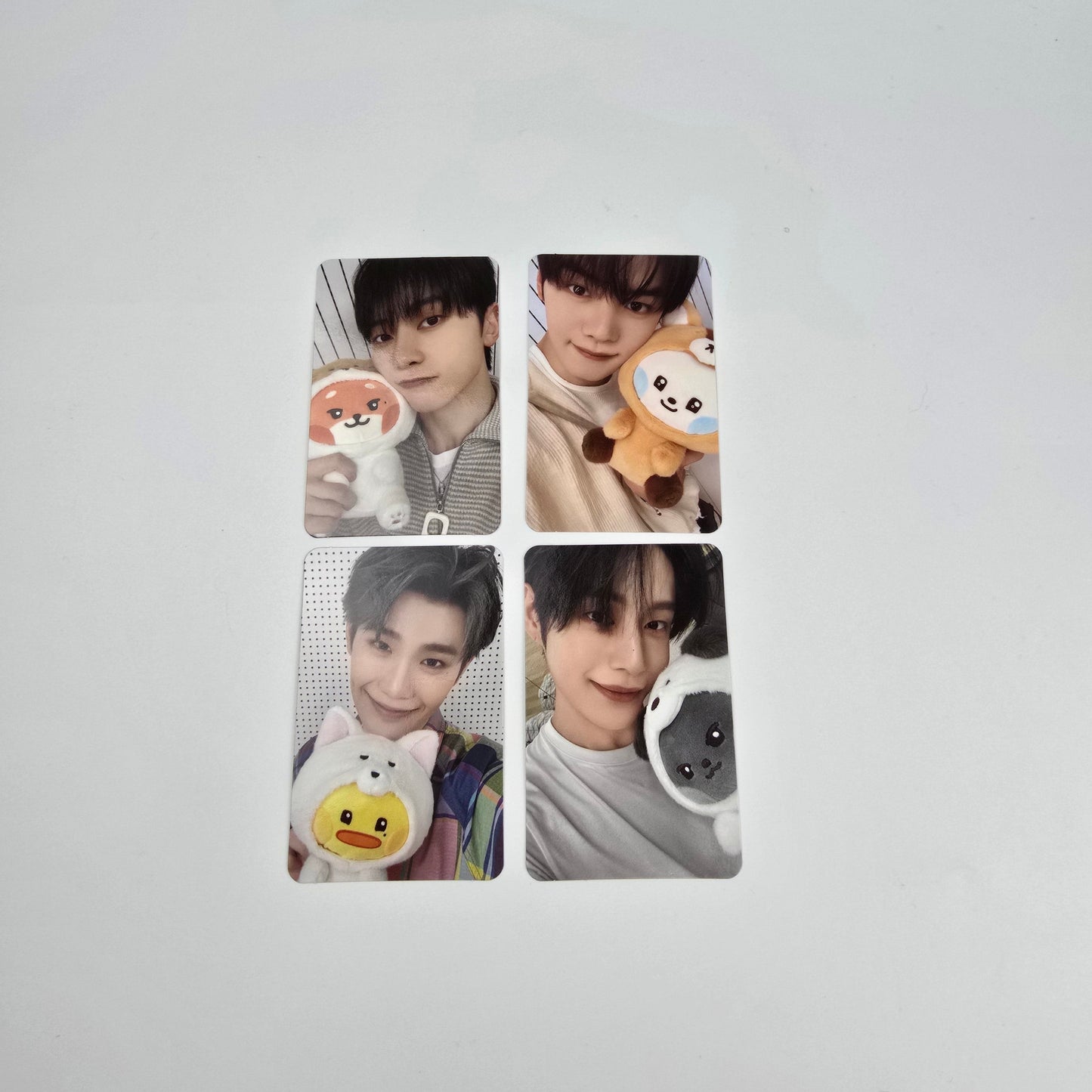 ZEROBASEONE zeroni WONDERLAND POP-UP Gift Photocard