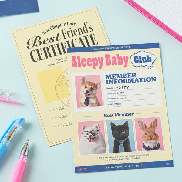 Daiso - Pegatinas de identificación de estudiante (7 hojas)