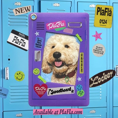 PlaFla - Locker Frame Photo Holder