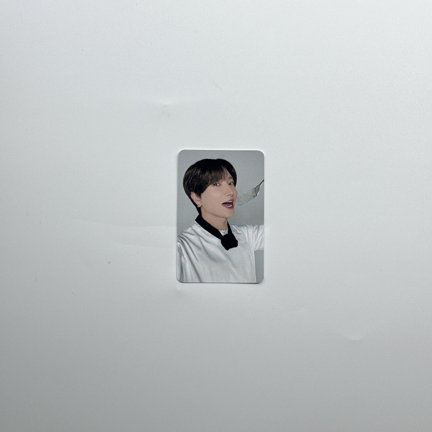 Super Junior - Photocards [Super Records 20th Anniversary Exhibition]