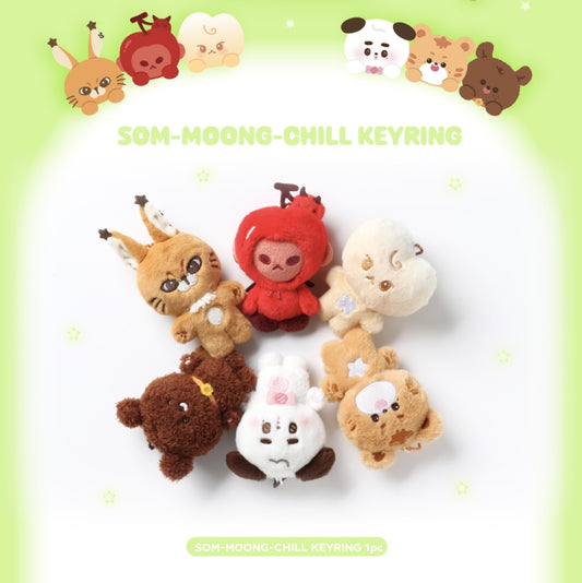 NCT 127 [SOM-MOONG-CHILL] MD  SOM-MOONG-CHILL KEYRING